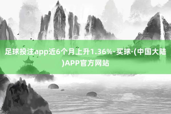 足球投注app近6个月上升1.36%-买球·(中国大陆)APP官方网站