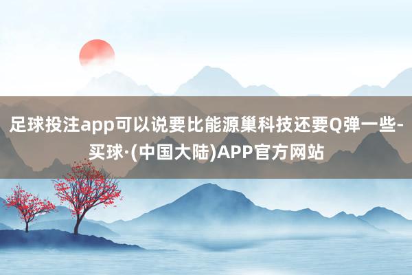 足球投注app可以说要比能源巢科技还要Q弹一些-买球·(中国大陆)APP官方网站