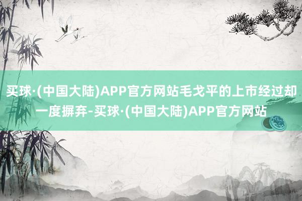 买球·(中国大陆)APP官方网站毛戈平的上市经过却一度摒弃-买球·(中国大陆)APP官方网站