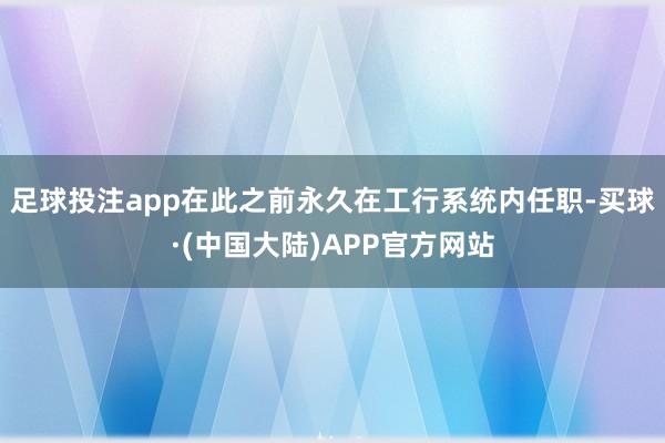 足球投注app在此之前永久在工行系统内任职-买球·(中国大陆)APP官方网站