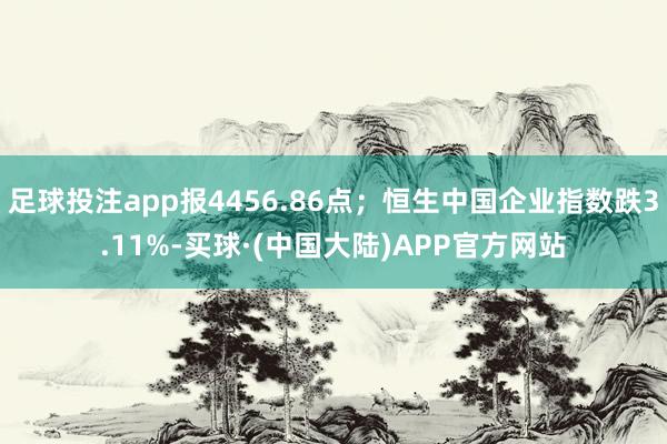 足球投注app报4456.86点；恒生中国企业指数跌3.11%-买球·(中国大陆)APP官方网站