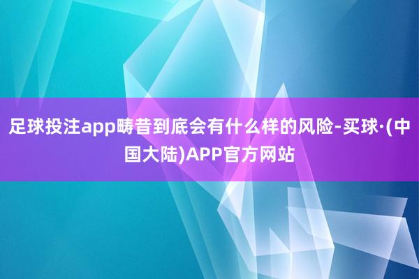 足球投注app畴昔到底会有什么样的风险-买球·(中国大陆)APP官方网站