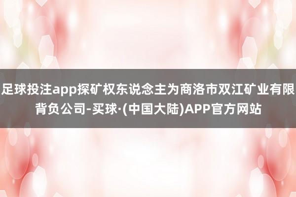 足球投注app探矿权东说念主为商洛市双江矿业有限背负公司-买球·(中国大陆)APP官方网站