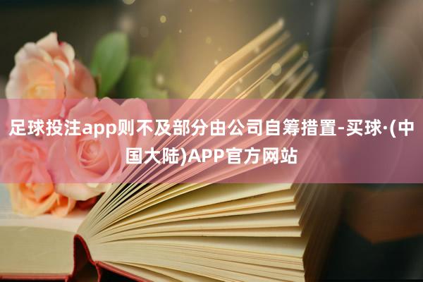 足球投注app则不及部分由公司自筹措置-买球·(中国大陆)APP官方网站