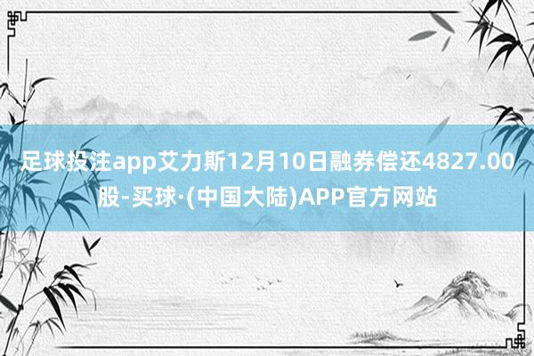 足球投注app艾力斯12月10日融券偿还4827.00股-买球·(中国大陆)APP官方网站