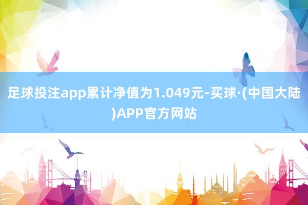 足球投注app累计净值为1.049元-买球·(中国大陆)APP官方网站