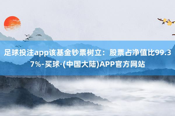 足球投注app该基金钞票树立：股票占净值比99.37%-买球·(中国大陆)APP官方网站