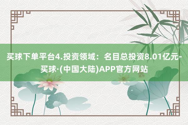 买球下单平台4.投资领域：名目总投资8.01亿元-买球·(中国大陆)APP官方网站