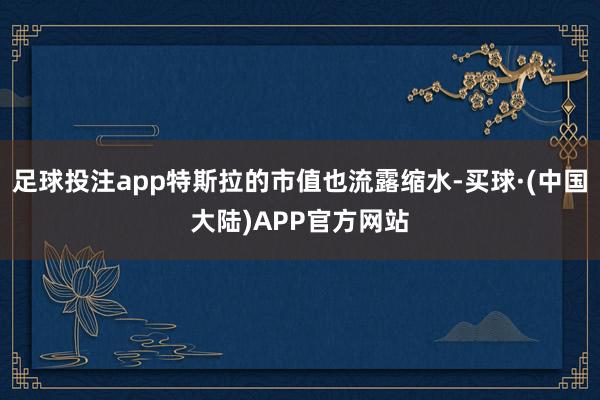 足球投注app特斯拉的市值也流露缩水-买球·(中国大陆)APP官方网站