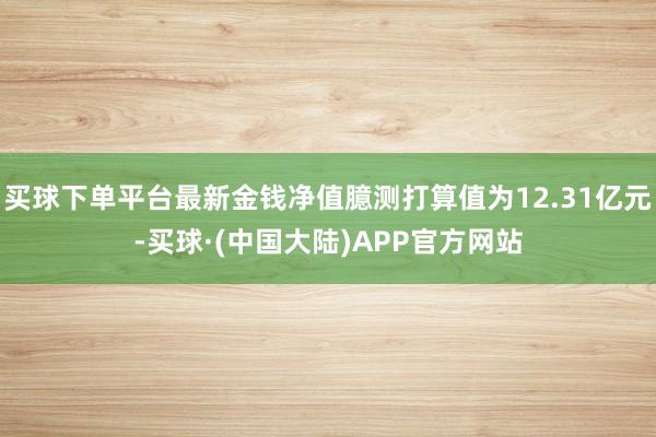 买球下单平台最新金钱净值臆测打算值为12.31亿元-买球·(中国大陆)APP官方网站