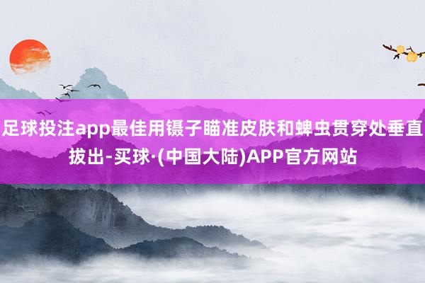 足球投注app最佳用镊子瞄准皮肤和蜱虫贯穿处垂直拔出-买球·(中国大陆)APP官方网站