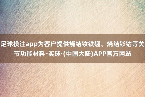 足球投注app为客户提供烧结钕铁硼、烧结钐钴等关节功能材料-买球·(中国大陆)APP官方网站