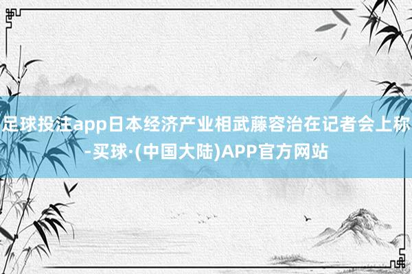 足球投注app日本经济产业相武藤容治在记者会上称-买球·(中国大陆)APP官方网站